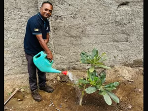 Tree Plantation Event at Datta Enterprises