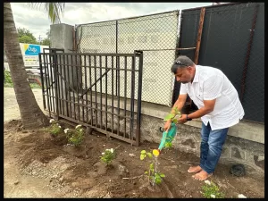Tree Plantation Event at Datta Enterprises